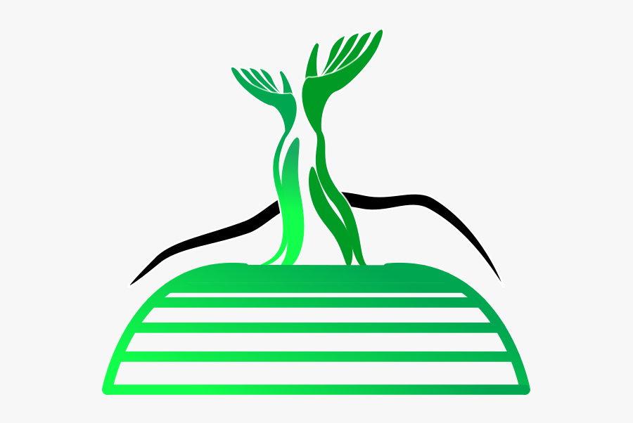 Bridge To Wellness Chiropractic Llc, Transparent Clipart