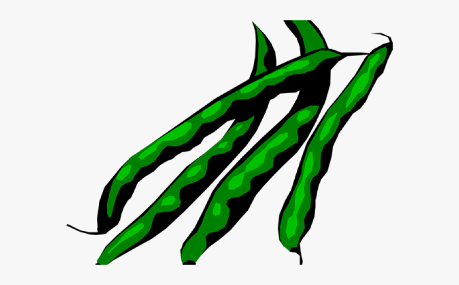 Microsoft Clipart String Bean - Green Beans Clipart, Transparent Clipart