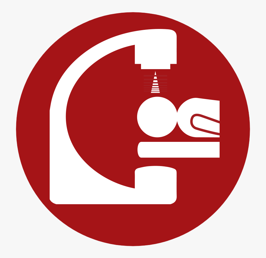 Circle, Transparent Clipart