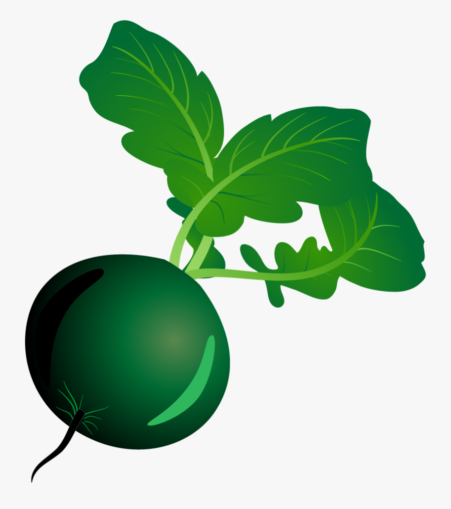 Bulbous Clipart, Transparent Clipart