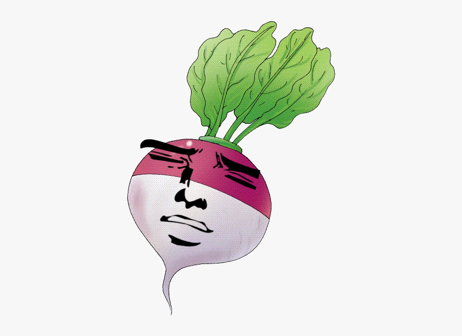 Transparent Turnip, Transparent Clipart