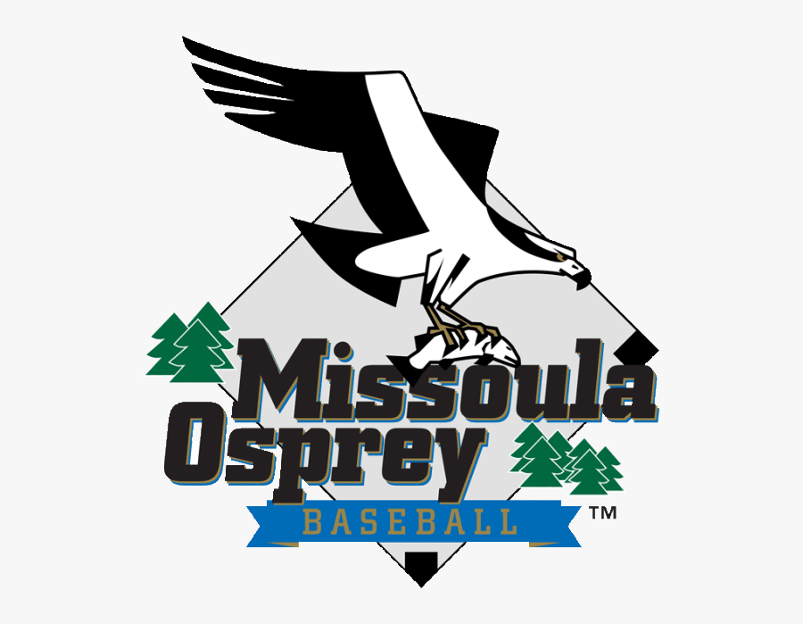 Missoula Osprey Logo, Transparent Clipart