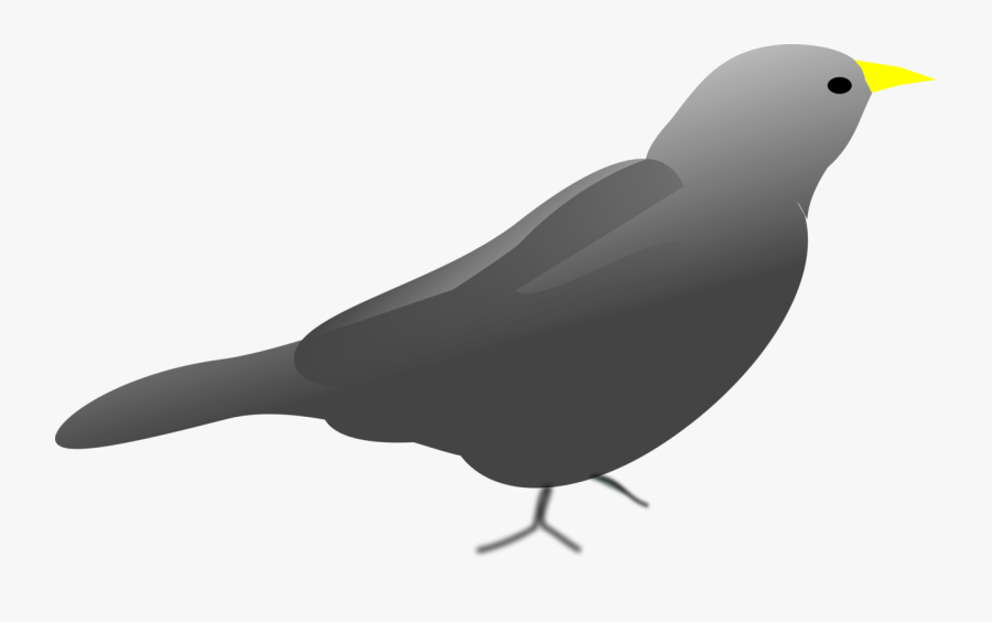 Fauna,wing,organism - Pigeons And Doves, Transparent Clipart