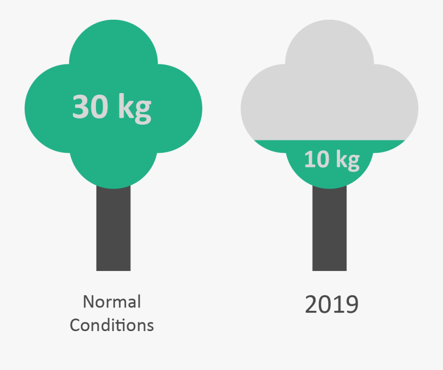 Sign, Transparent Clipart