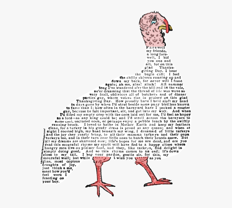 Seaduck, Transparent Clipart