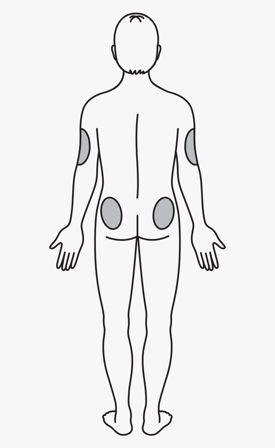 Back Side Appropriate Injection Sites - Line Art, Transparent Clipart