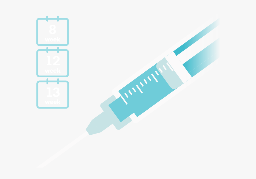 Injection - Syringe - Syringe, Transparent Clipart
