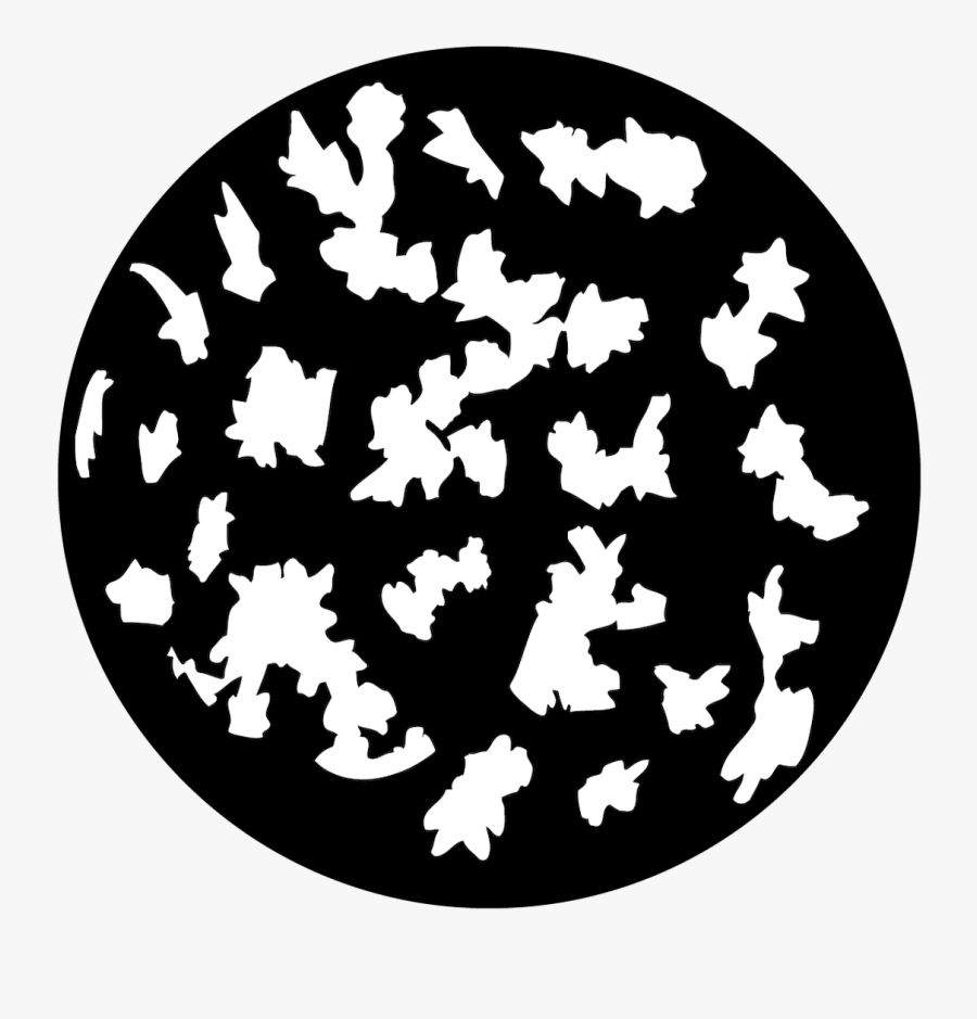 Apollo Leaves Full - Circle, Transparent Clipart