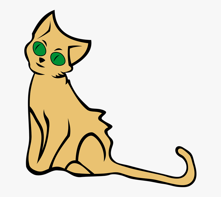 Cat, Favorite, Cat"s Eyes, Domestic Cat, Kitten, Pets, Transparent Clipart