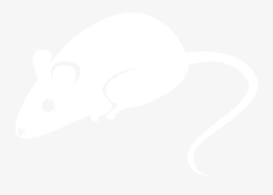 Food Mammals Mouse, Transparent Clipart