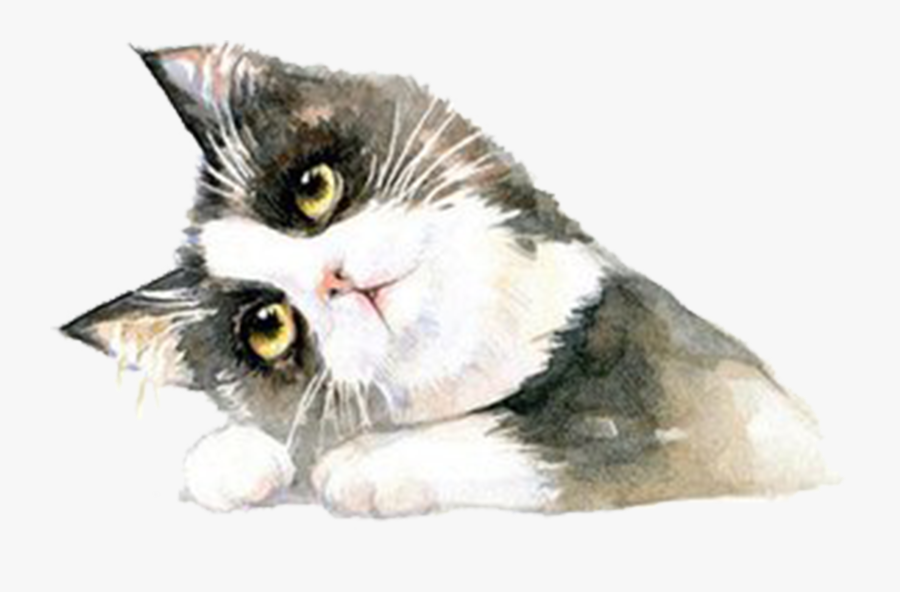 Clip Art Free Stock British Shorthair Ragdoll Hand - British Shorthair, Transparent Clipart