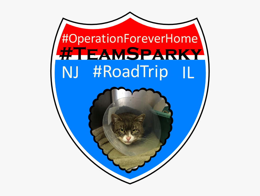 Asian, Transparent Clipart