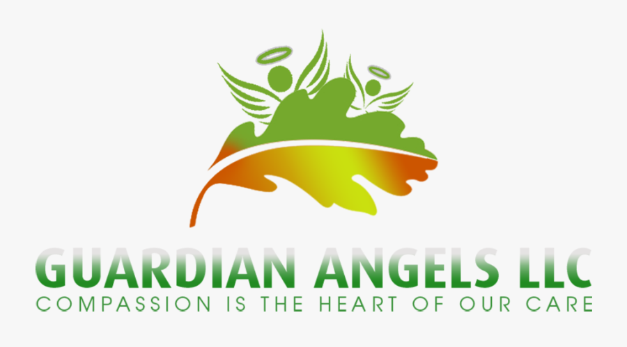 Graphic Design, Transparent Clipart