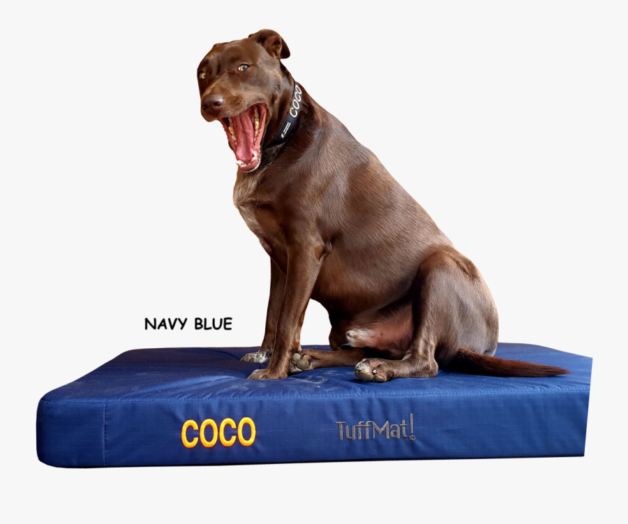 Tuffmat "
 Class= - Dog Yawns, Transparent Clipart