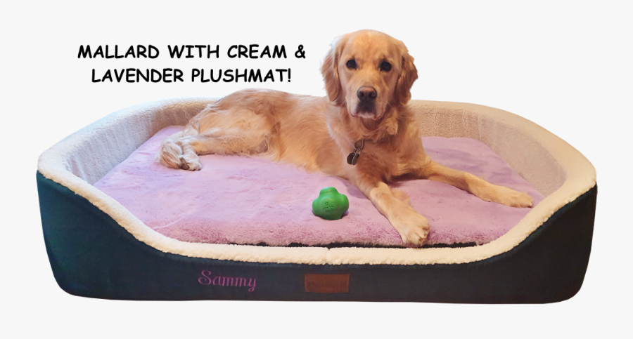 Plushmat & Plushmat Plus Edge"
 Class= - Dog Catches Something, Transparent Clipart