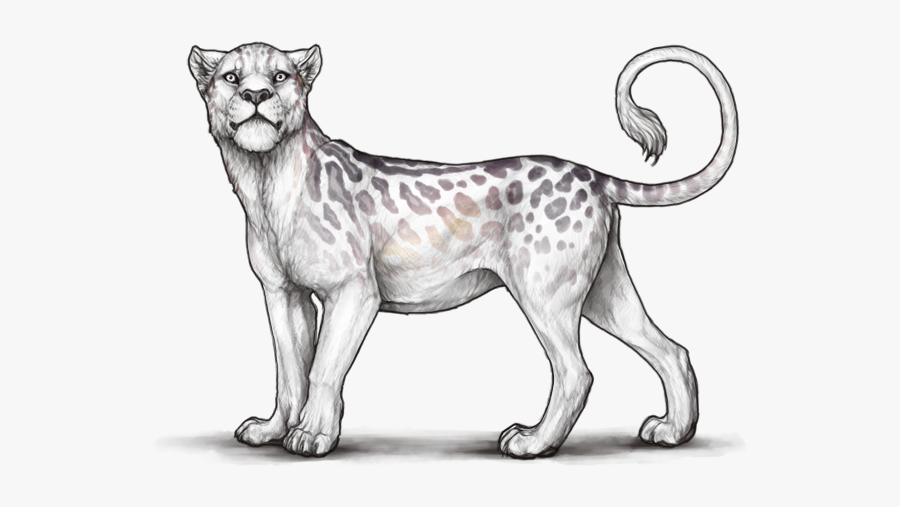 Lioden Cherry Blossom Base, Transparent Clipart