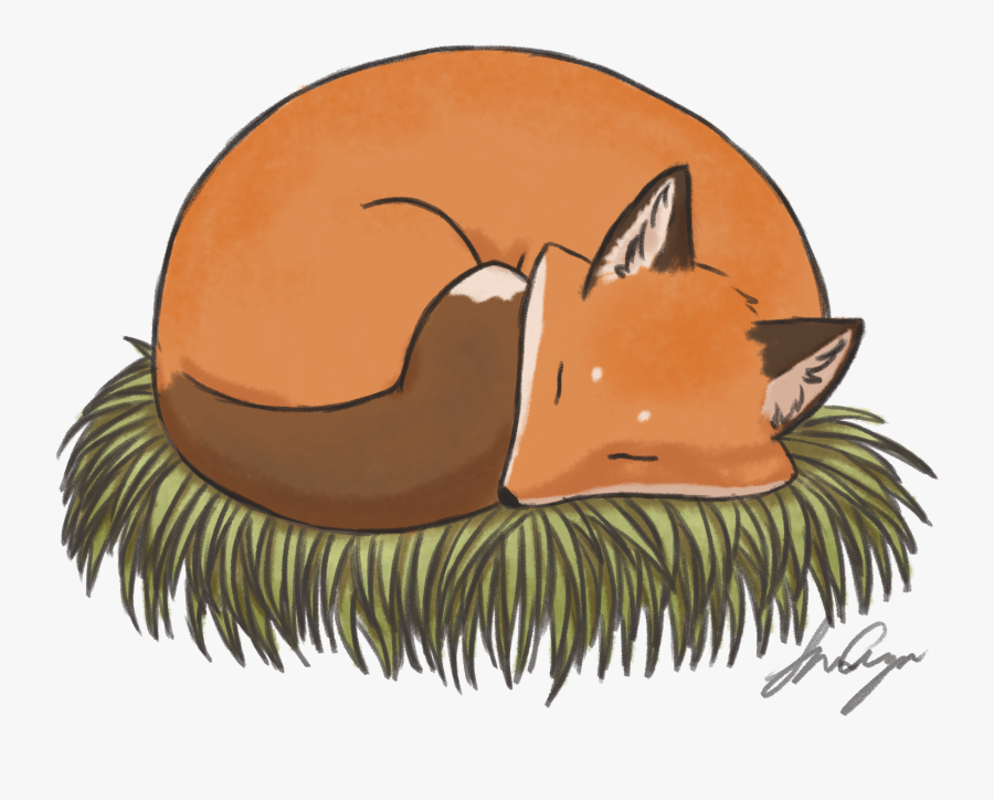 Eurasian Red Squirrel, Transparent Clipart