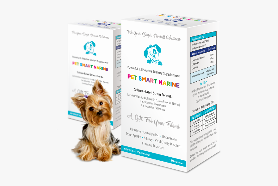 Yorkshire Terrier, Transparent Clipart