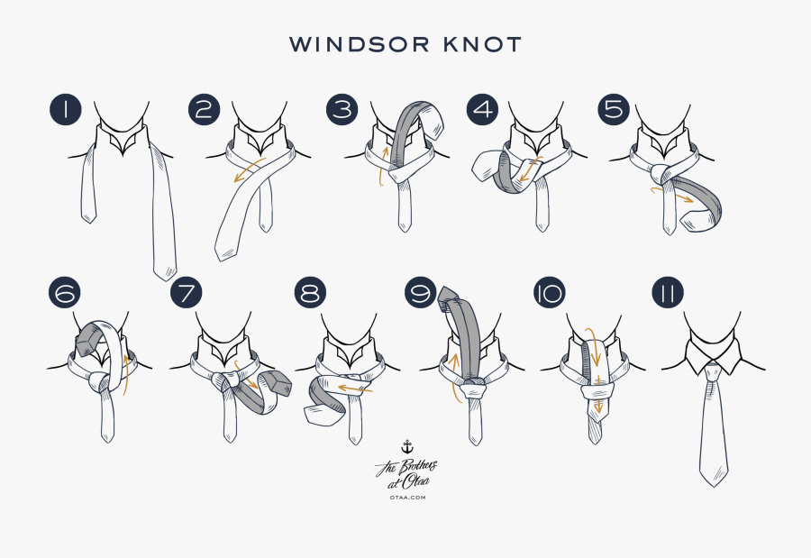 How To Tie A Windsor Knot - Half Windsor Knot Tie, Transparent Clipart