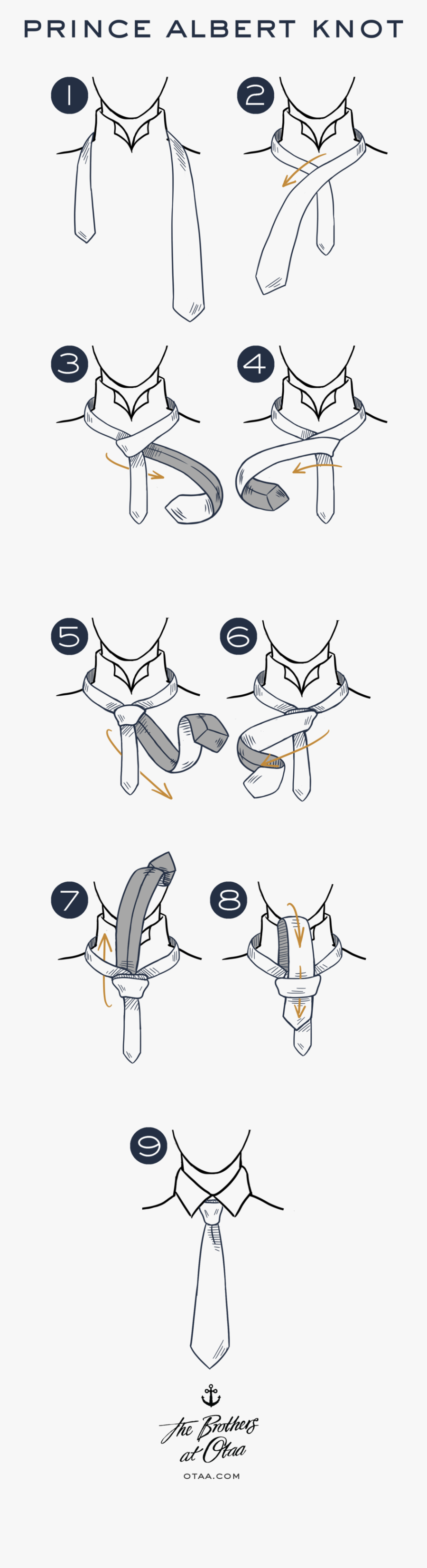 How To Tie A Prince Albert Knot - Cartoon, Transparent Clipart