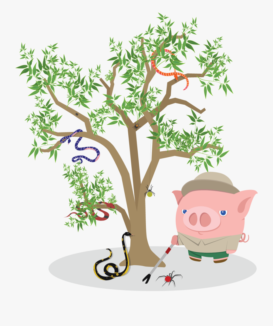 Best Forex Broker Australia - Cartoon, Transparent Clipart