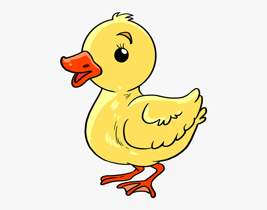 How To Draw Baby Duck - Draw A Baby Duck, Transparent Clipart