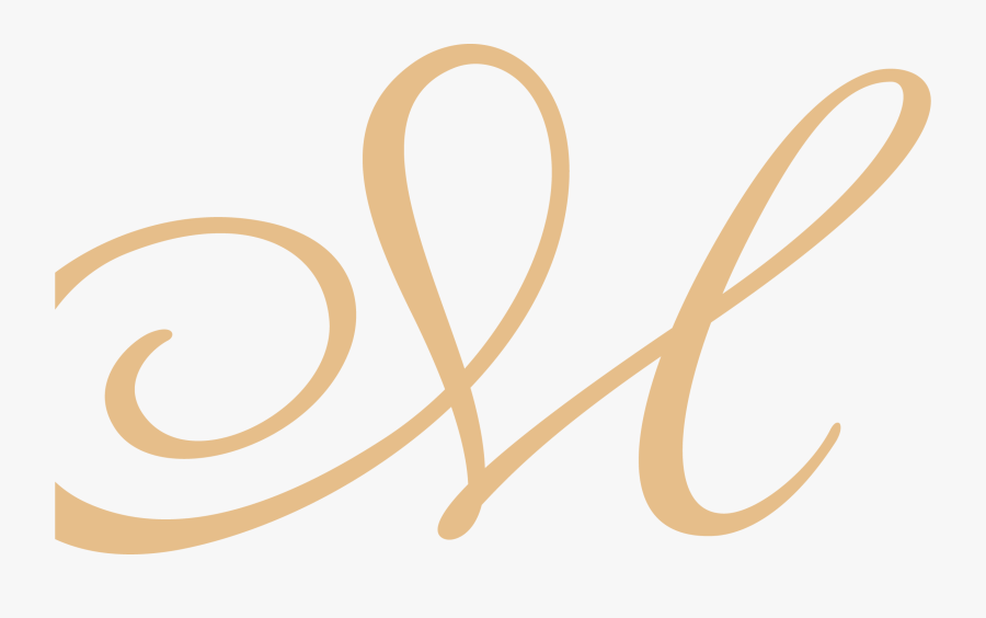 Asset 1@3x - Wood, Transparent Clipart