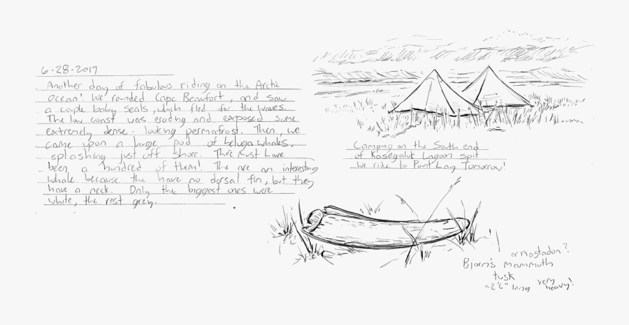 Raft Drawing Old - Sketch, Transparent Clipart