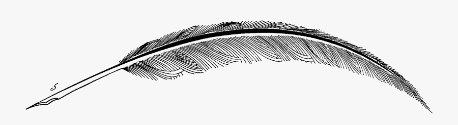 Quill Pen Clip Art Transparent Background - Feather Pen Transparent Background, Transparent Clipart