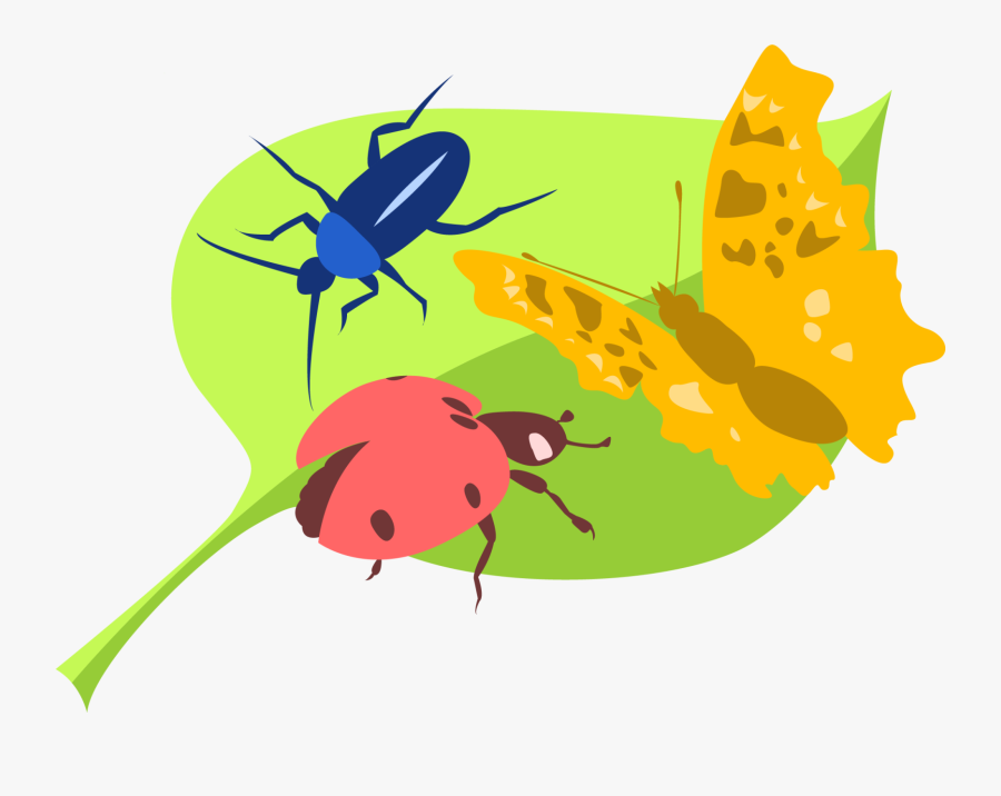 Bugfest Graphic"
 Class="img Responsive Owl First, Transparent Clipart