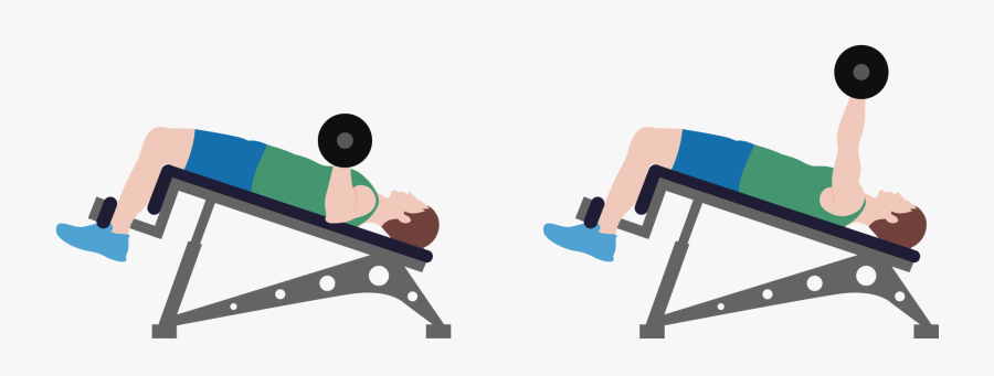 Exercise Bench Clipart Muscle Movement - Bench, Transparent Clipart