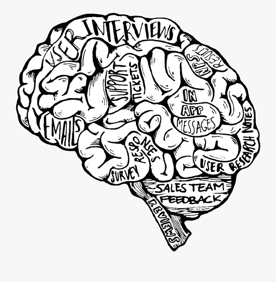 Meaningful Drawings Of The Brain, Transparent Clipart