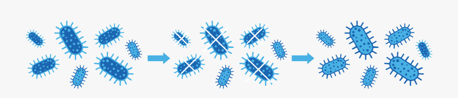 Antibiotic Resistant Bacteria Icon, Transparent Clipart