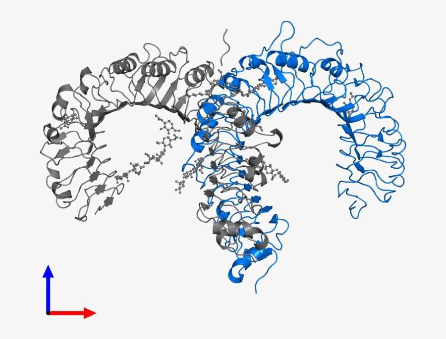 Illustration, Transparent Clipart