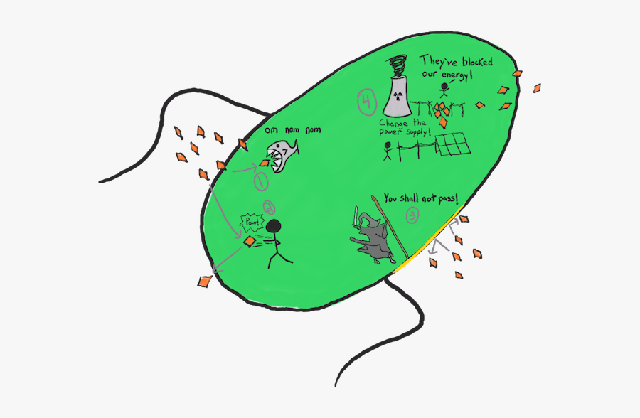 Bacteria Getting Energy, Transparent Clipart