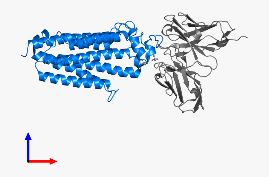 Illustration, Transparent Clipart