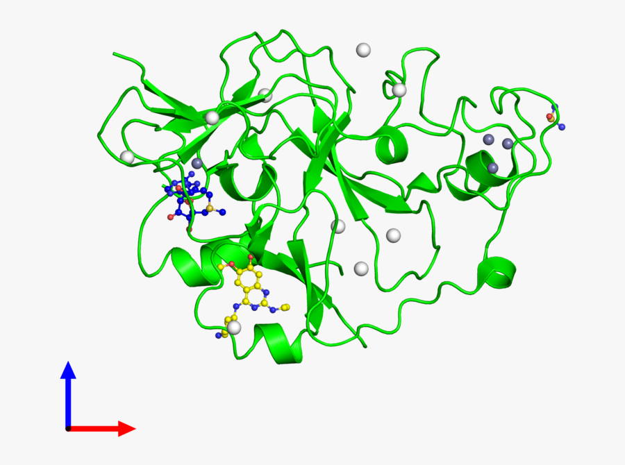 Illustration, Transparent Clipart