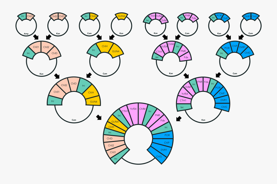 Hydrogenproduction, Transparent Clipart