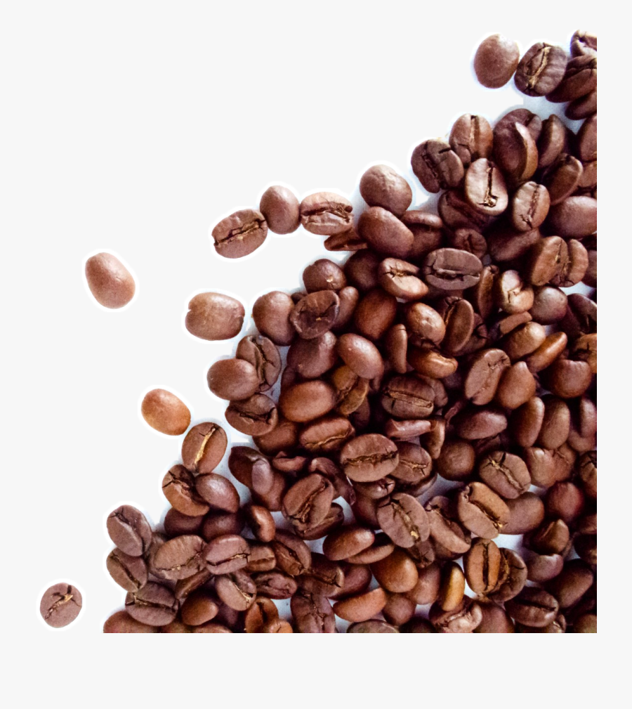 The Coffee Bean & Tea Leaf Espresso Cafe Dolce Gusto - Coffee Beans Transparent Background, Transparent Clipart