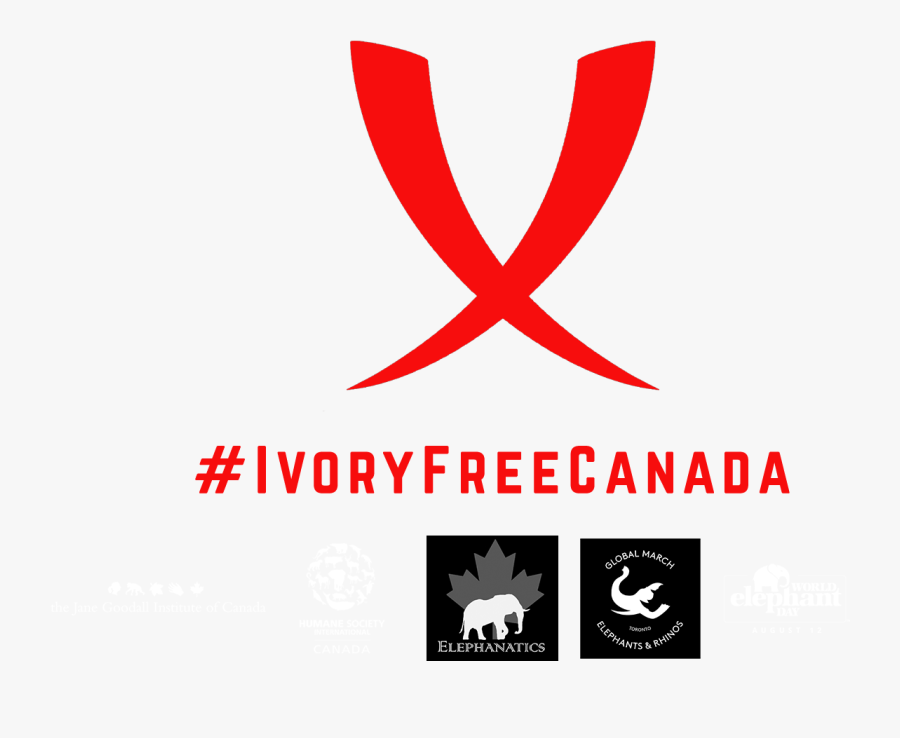 Ivory-free Canada, Transparent Clipart