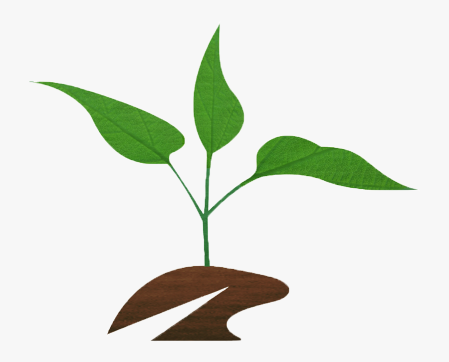 A Victory Through Suffering - New Life Christian Church, Transparent Clipart