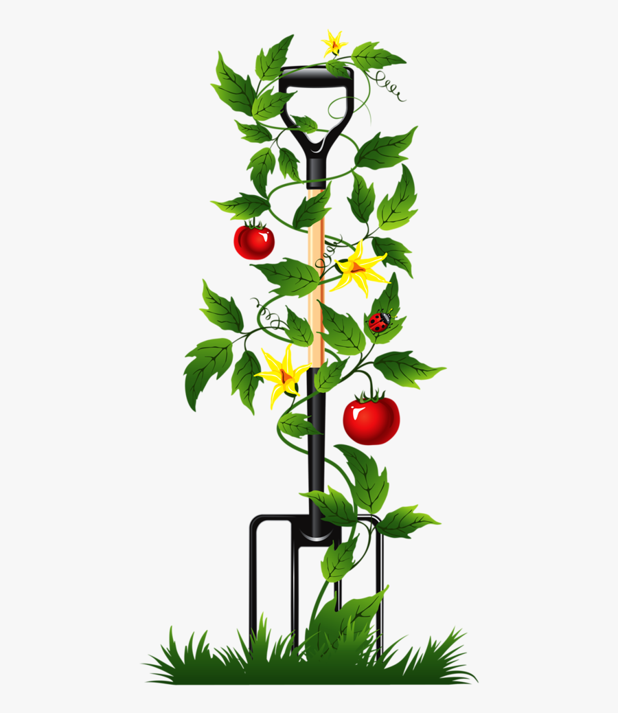 Tomatoes Clipart Tomato Tree - Poem For Gardeners Funeral, Transparent Clipart