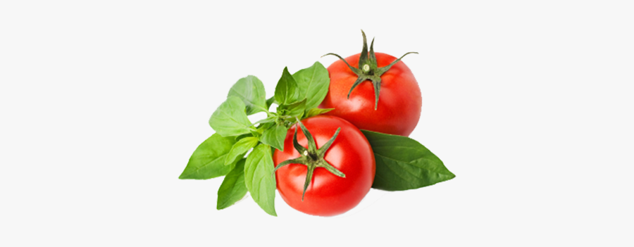 Veggies Small Farm Picked - Tomato Basil Png, Transparent Clipart