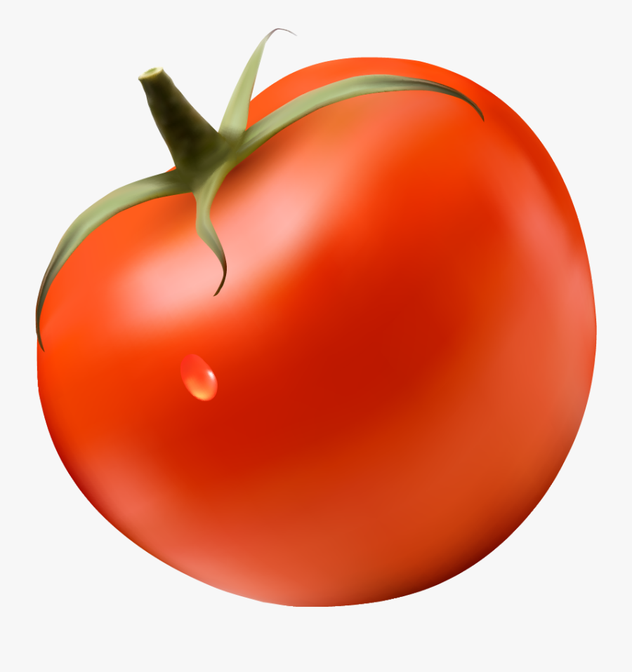 Plum Tomato, Transparent Clipart