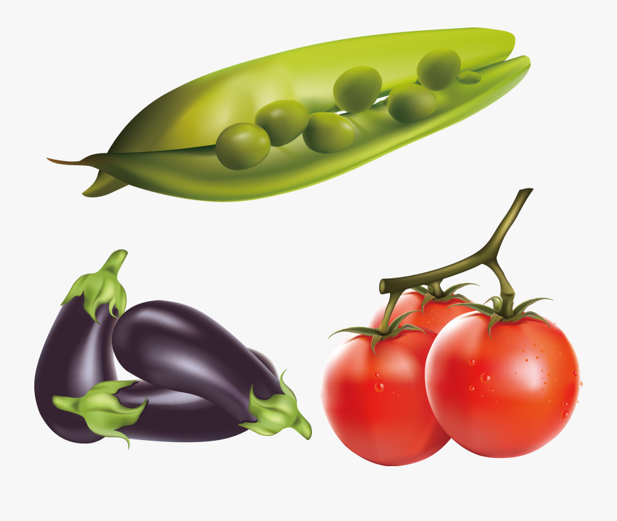 Tomatoes Drawing Realistic - Transparent Background Eggplant Clipart, Transparent Clipart