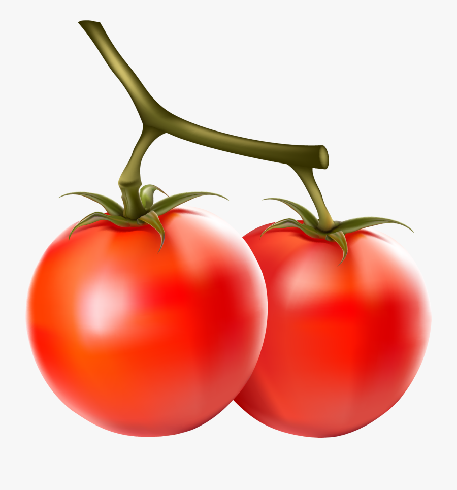 Tomato Logo Png, Transparent Clipart
