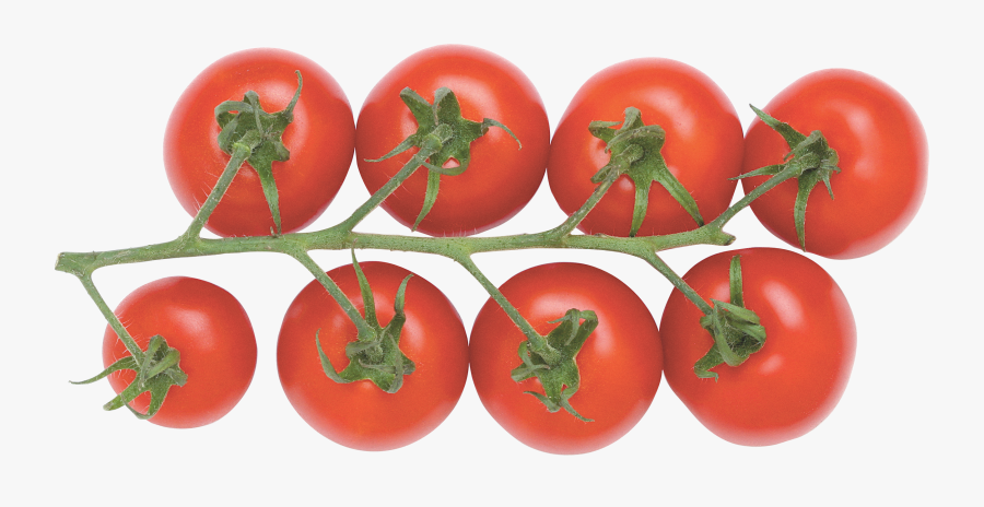 Red Tomatoes - Tomato Transparent Background, Transparent Clipart