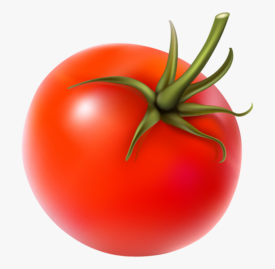 Fresh Vegetable Vector Png, Transparent Clipart