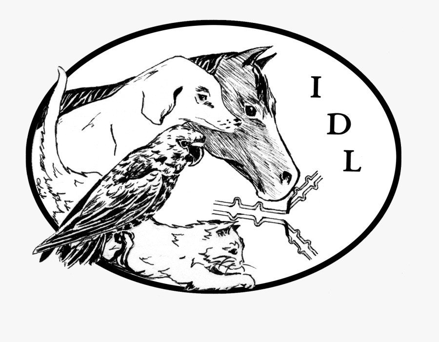 Uga Infectious Diseases Laboratory - Illustration, Transparent Clipart