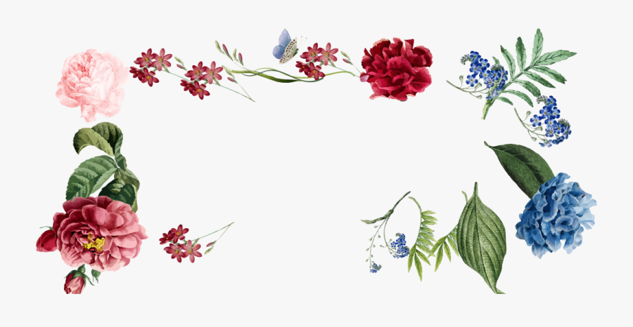 Rose, Transparent Clipart